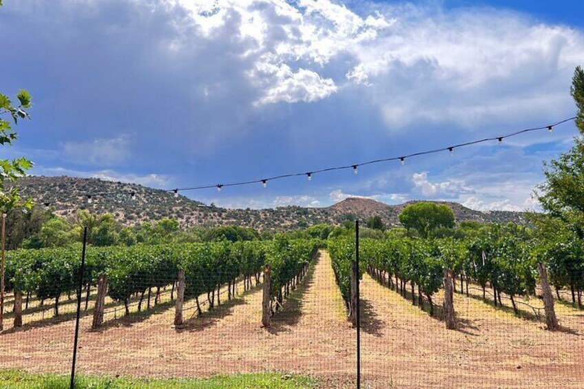 The Terrior Of The Verde Valley Wine Trail Tour