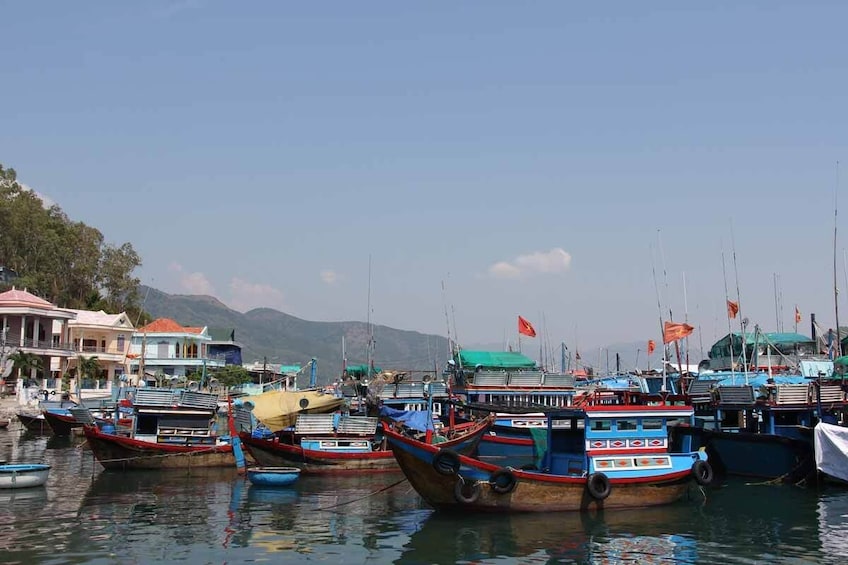 Shore Excursion Nha Trang Countryside Cham Towers Cai River Full Day Tour