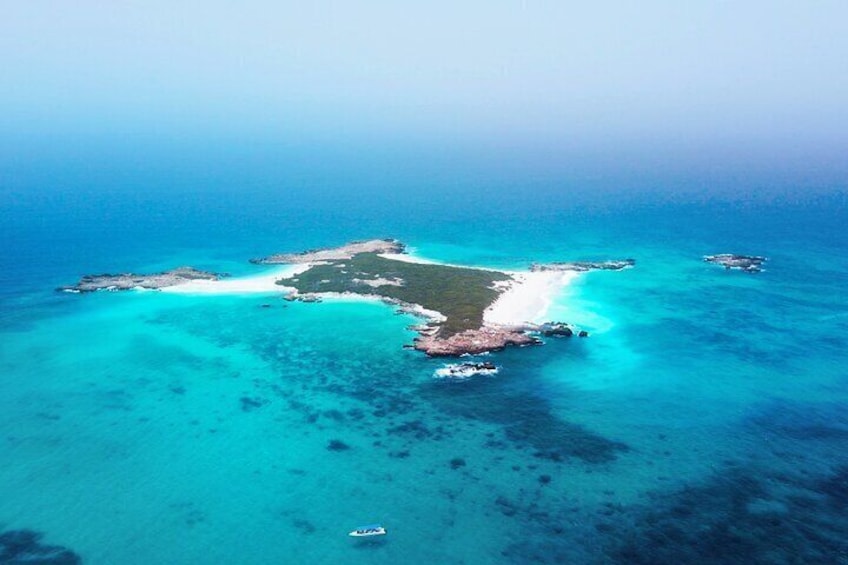 Daymaniyat Island