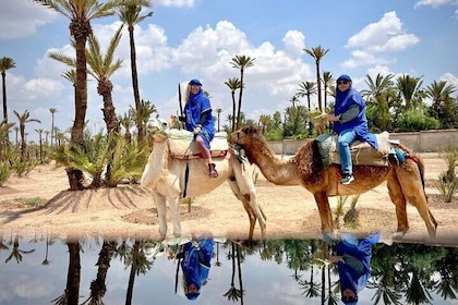 Luxury Day in Marrakech from Casablanca with Camel Ride