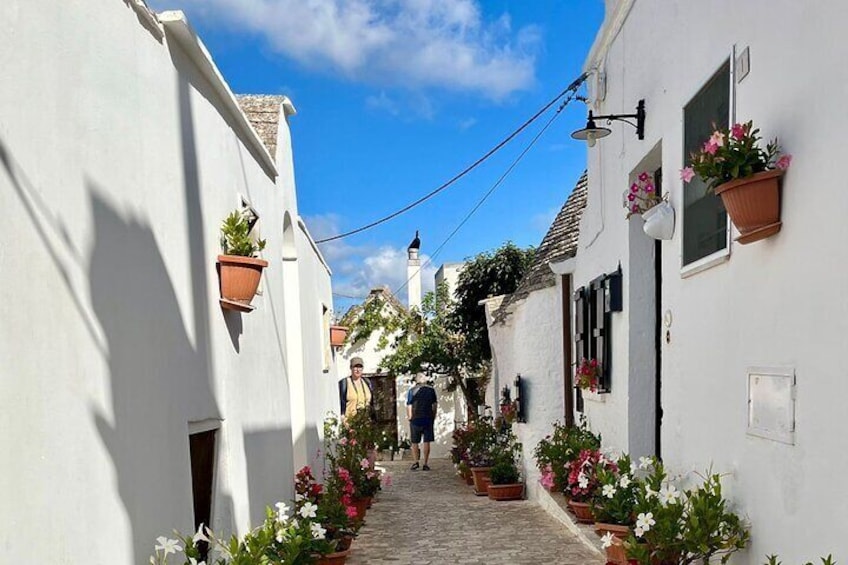 ALBEROBELLO