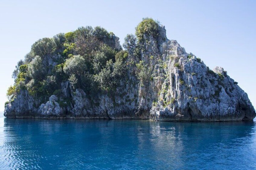The Rabbit Rock