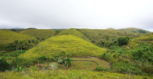 From Bali: Private Tour East Nusa Penida Day Trip