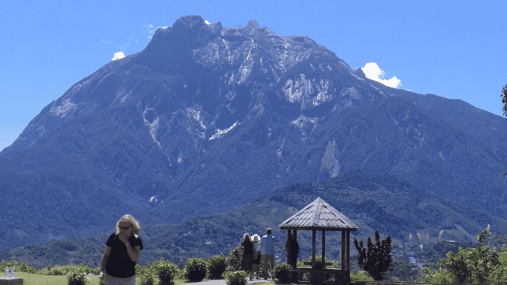 Picture 7 for Activity Kundasang: Day Tour with Desa Dairy Farm & Alpaca Club