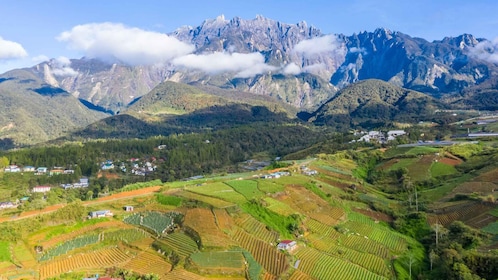 Kundasang: Day Tour with Desa Dairy Farm & Alpaca Club