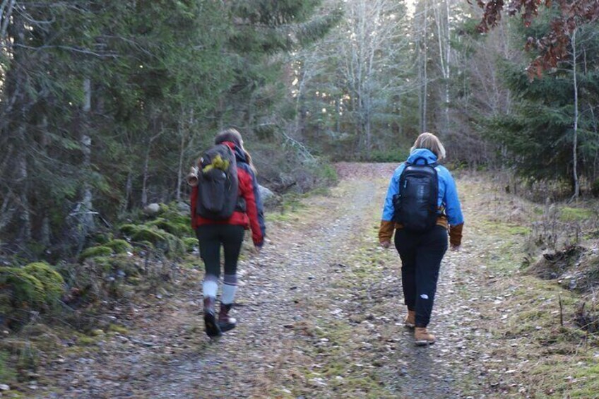 Hike with Wild Forage Surviving Tips and Local Lunch at the Lake