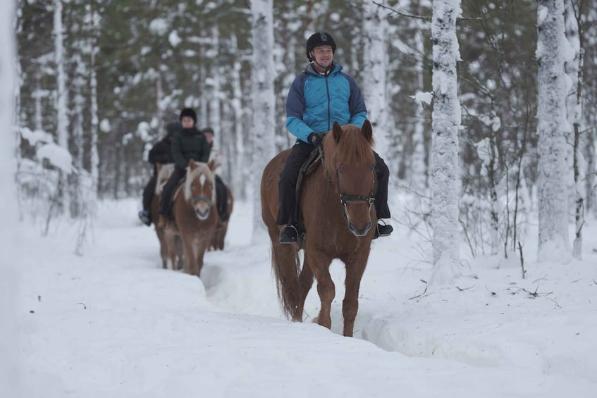 Picture 2 for Activity Levi: Snowy Forest Ride and Polar Lights Tours