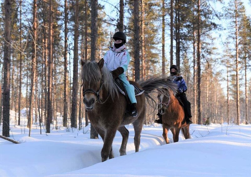 Picture 1 for Activity Levi: Snowy Forest Ride and Polar Lights Tours