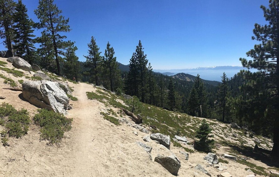 Picture 3 for Activity Lake Tahoe Fat Tire Mountain Bike Rentals | All Seasons