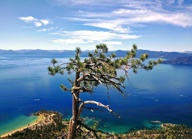 Picture 6 for Activity Lake Tahoe Fat Tire Mountain Bike Rentals | All Seasons