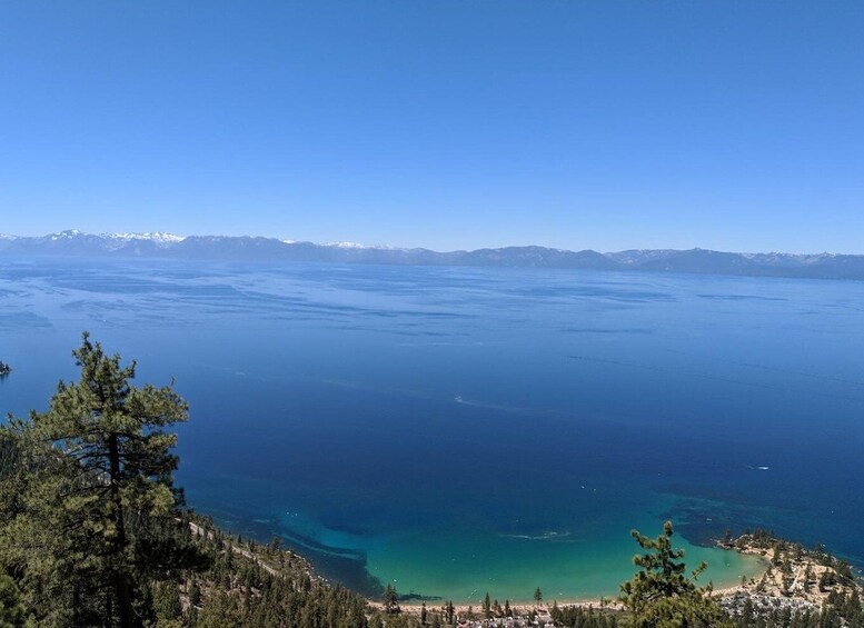 Picture 7 for Activity Lake Tahoe Fat Tire Mountain Bike Rentals | All Seasons