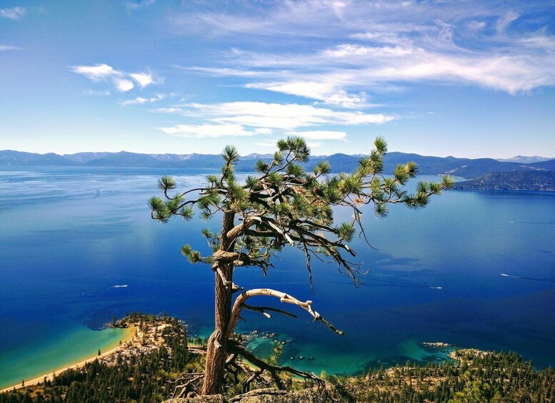 Picture 6 for Activity Lake Tahoe Fat Tire Mountain Bike Rentals | All Seasons