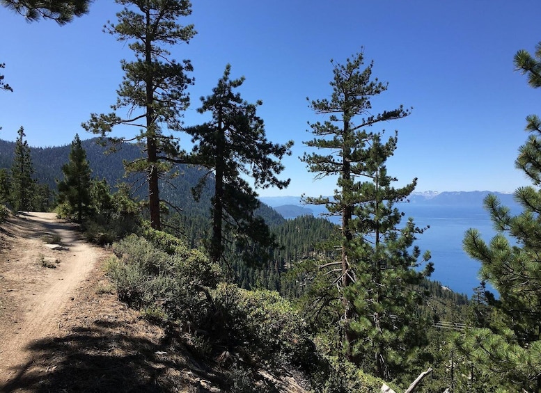 Picture 4 for Activity Lake Tahoe Fat Tire Mountain Bike Rentals | All Seasons