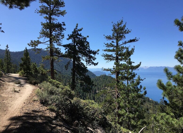 Picture 4 for Activity Lake Tahoe Fat Tire Mountain Bike Rentals | All Seasons