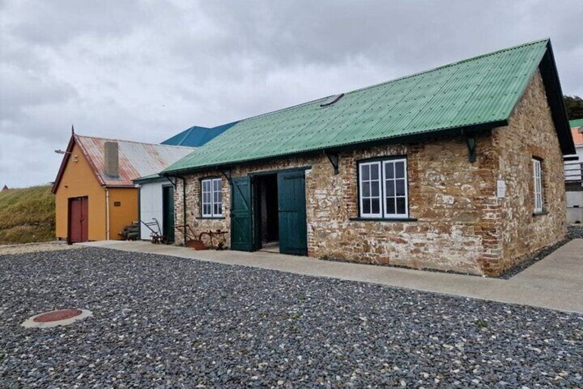  Falkland Islands Shared Tour with Penguins Sightseeing