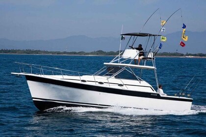 Puerto Vallarta: Fishing in Luxury Boat