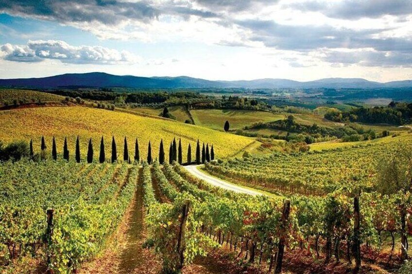Chianti Classic Vintage Fiat 500 Tour 