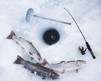 Ice Fishing Adventure in Levi with Salmon Soup