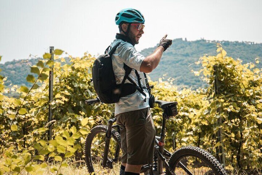 Lake Bolsena and the Via Francigena eBike Tour
