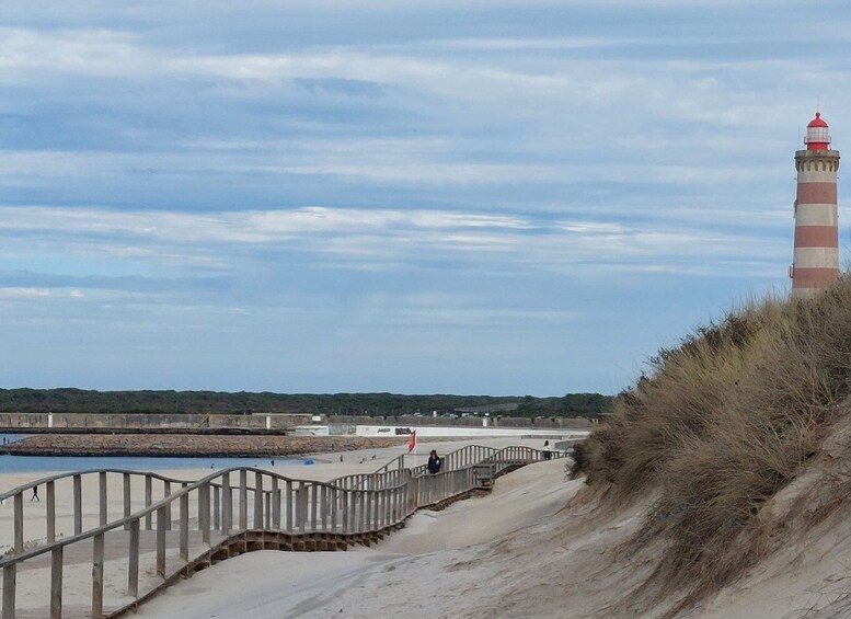 Picture 5 for Activity From Aveiro/Ilhavo: Barra, Costa Nova, and Vista Alegre Tour