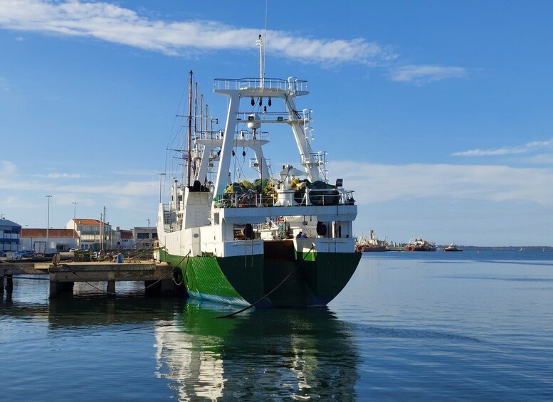 Picture 4 for Activity From Aveiro/Ilhavo: Barra, Costa Nova, and Vista Alegre Tour