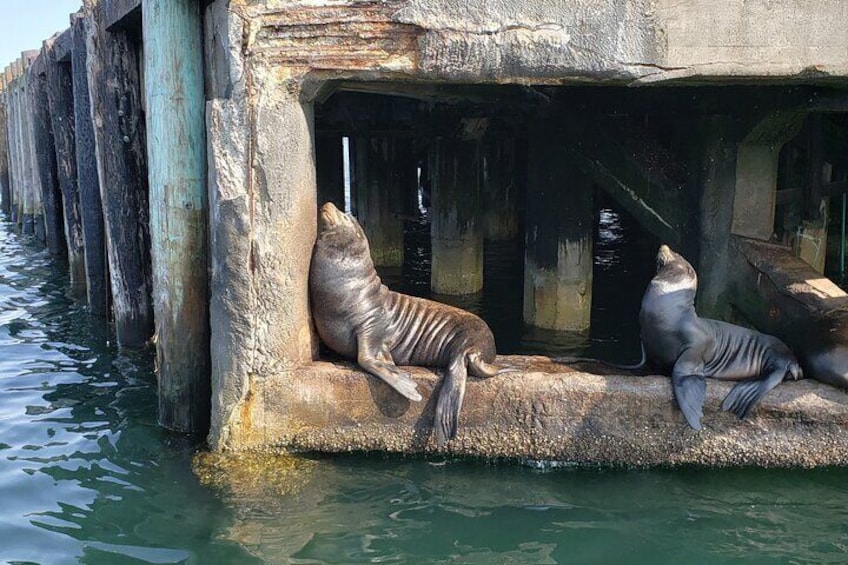 Monterey Private 3 - 4 Hour Whale Watching Cruise