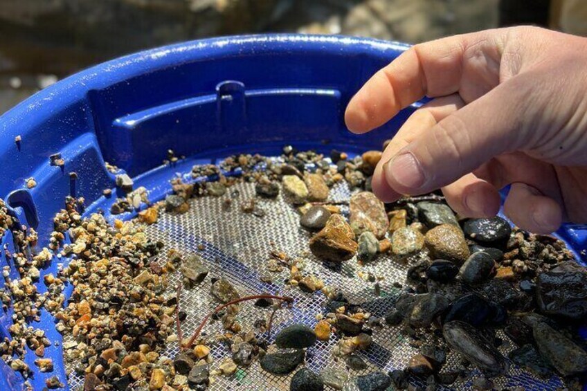 Kelowna E-Bike Gold Panning Expedition