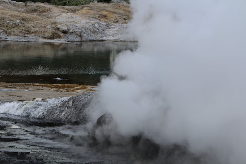 Steaming geyser on Rotorua tour in New Zealand