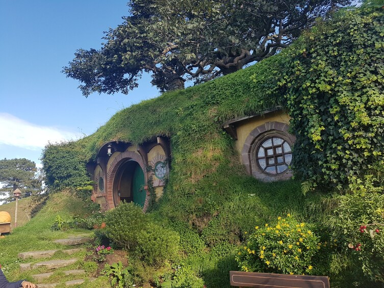 Hobbiton Move Set & Rotorua including Te Puia Tour