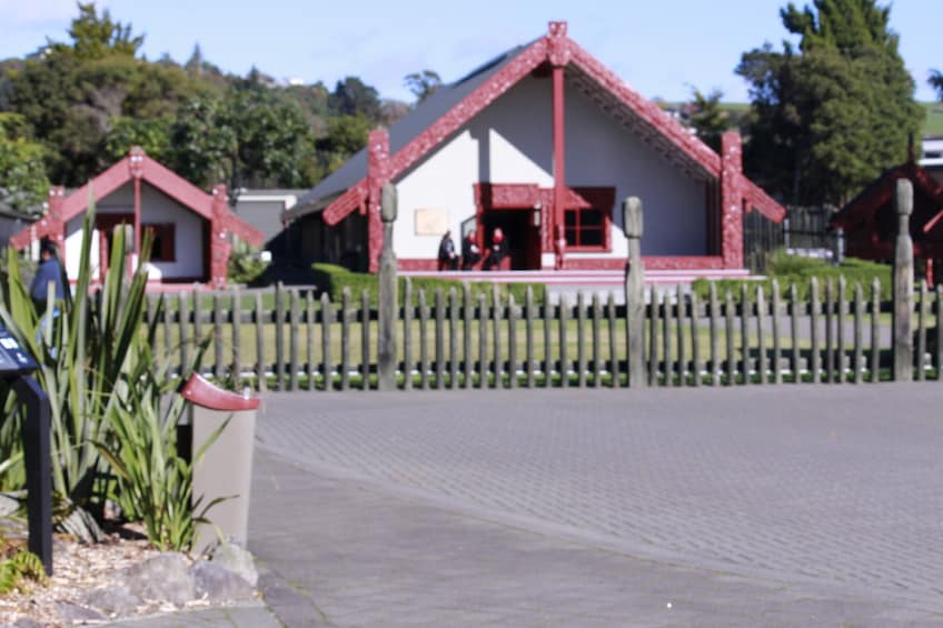 Hobbiton Move Set & Rotorua including Te Puia Tour