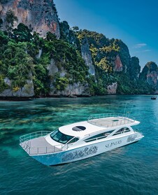 Phuket : Excursion d'une journée aux îles Phi Phi en catamaran rapide