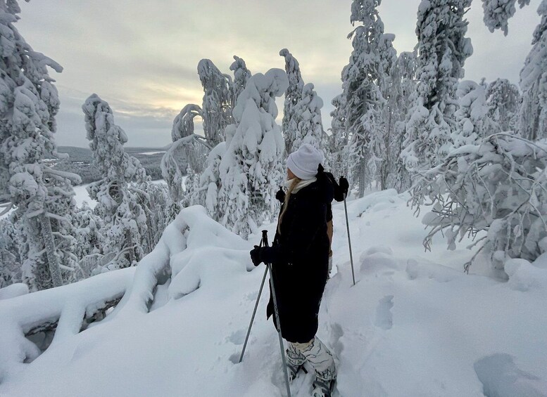 Picture 4 for Activity Snowshoeing in Levi