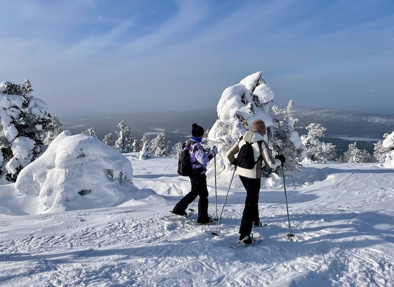 Picture 3 for Activity Snowshoeing in Levi