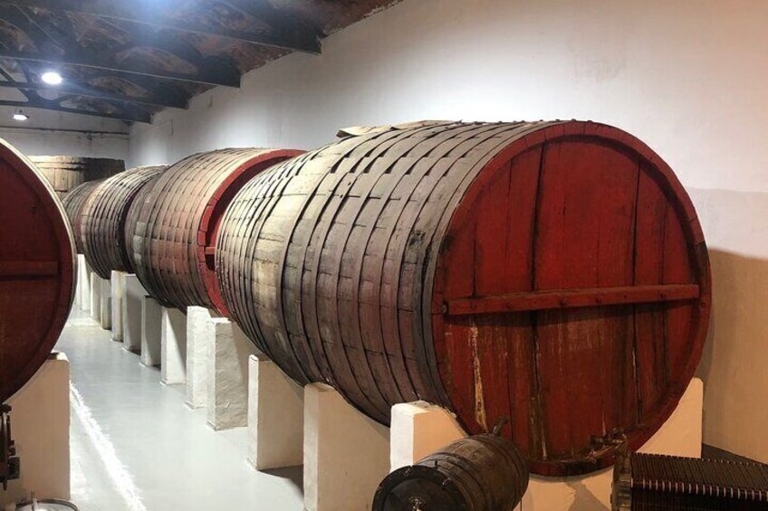 Madrid Tour in White Wine Country from Rueda