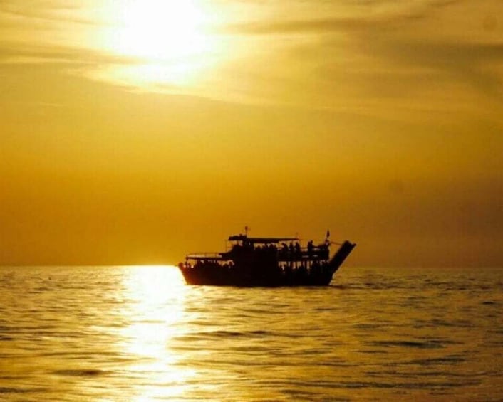 Picture 5 for Activity From Poreč: Evening Dolphin Cruise with Welcome Drink