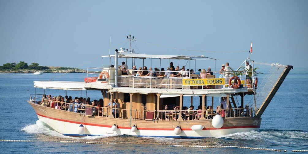 From Poreč: Evening Dolphin Cruise with Welcome Drink