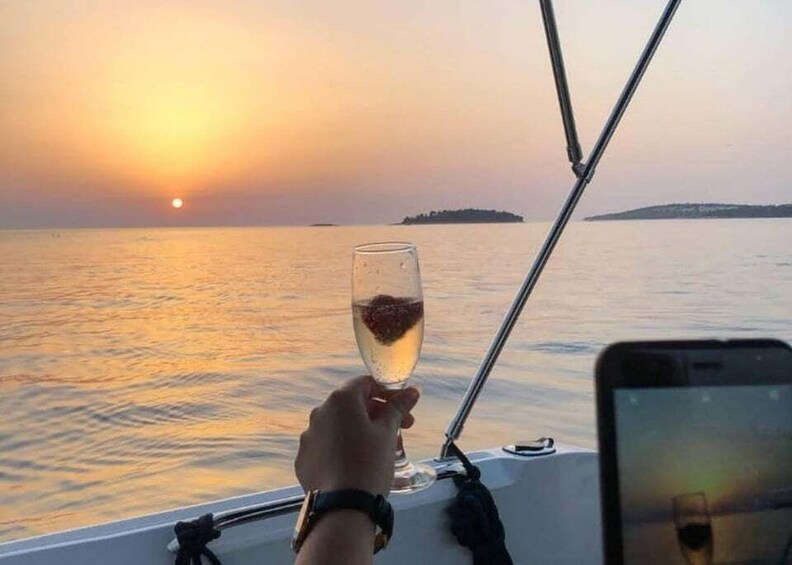 Picture 3 for Activity From Poreč: Evening Dolphin Cruise with Welcome Drink