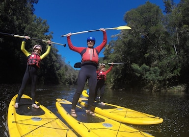Stormsrivier: Groene Route Tubing en Paddle-Boarding Tour