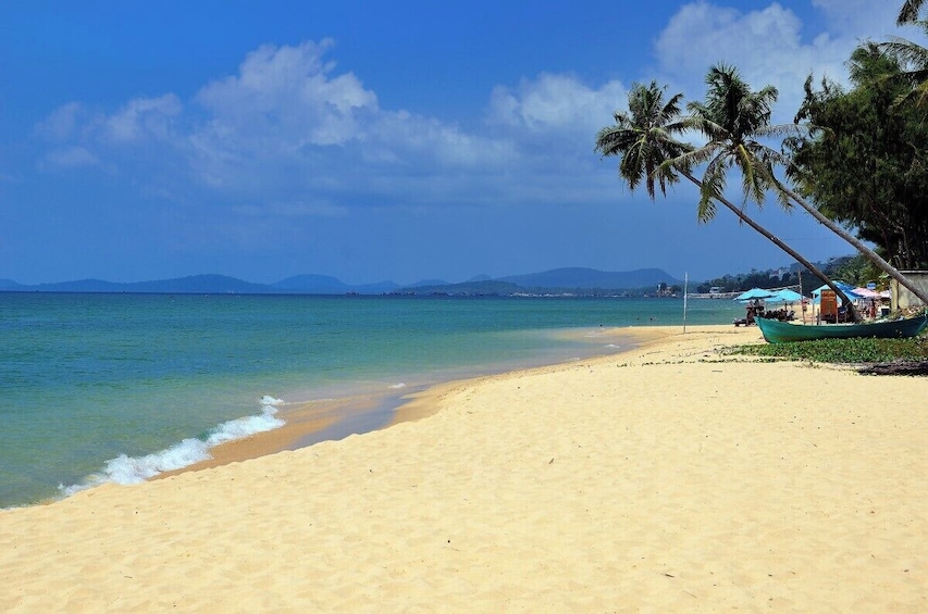 Experience Squid Fishing & Local Seafood Tasting Phu Quoc Evening Tour