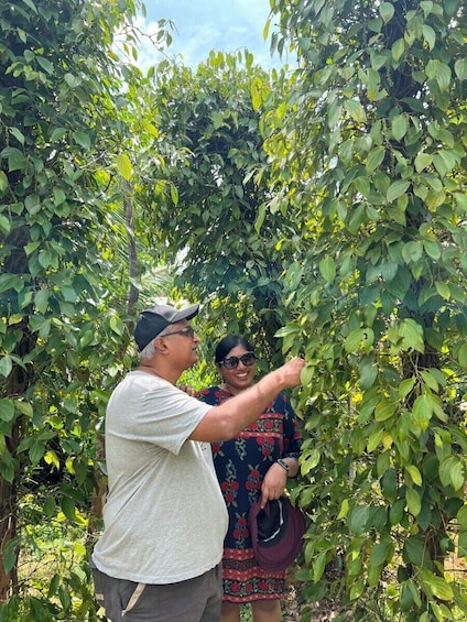 Explore Phu Quoc Bike Tour: Khu Tuong Eco Farm & Local Cuisine Experience