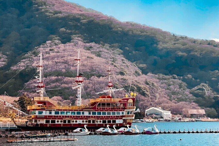 Private Fuji Hakone Tour Charter with English Speaking Driver