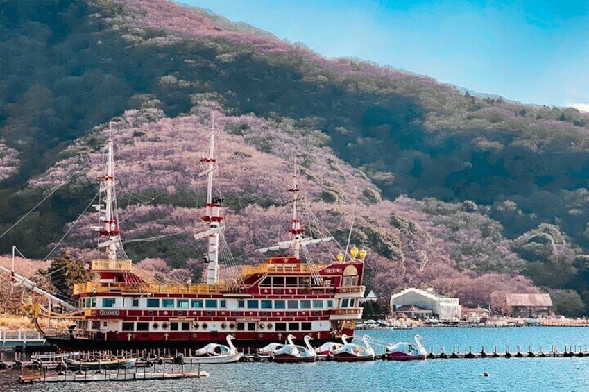 Private Fuji Hakone Tour Charter with English Speaking Driver