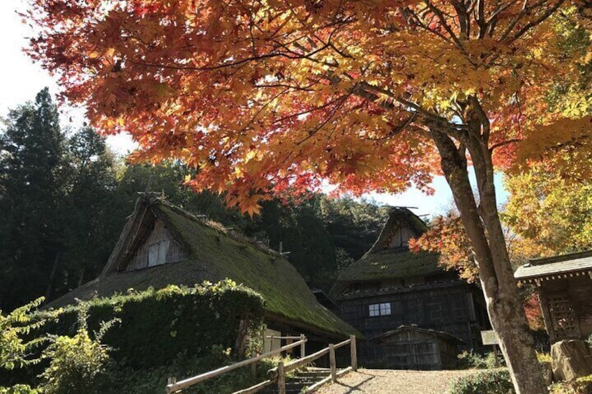 Hida no Sato (Hida Folk Village) | Takayama, Japan