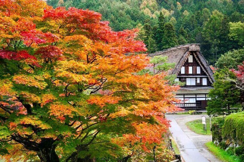 Hida no Sato (Hida Folk Village) | Takayama, Japan