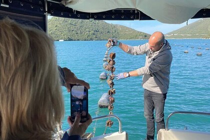 Pelješac - Wine, Oysters and Food Tour from Dubrovnik