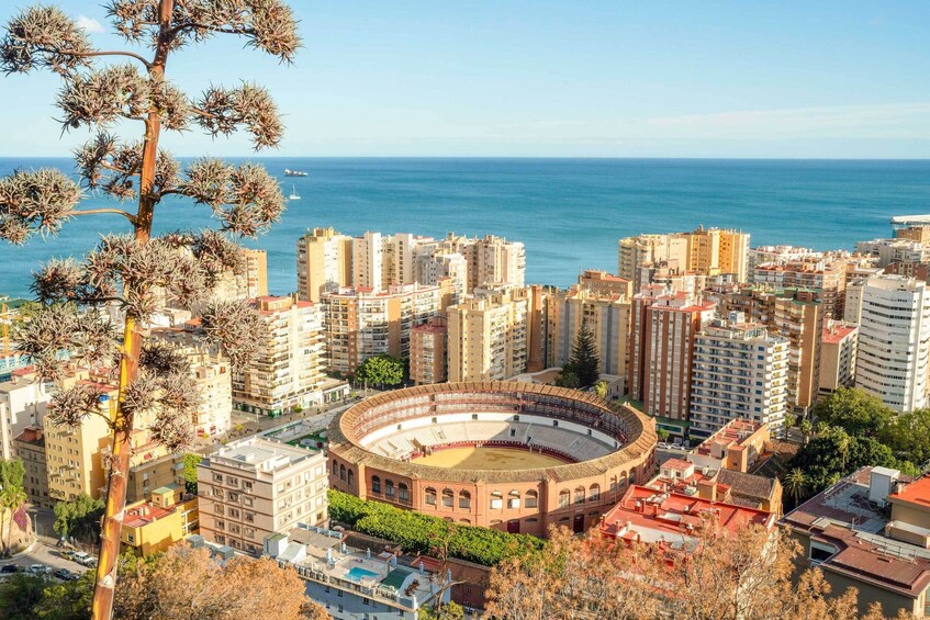 Malaga Walking Tour, Gibralfaro and Alcazaba Visit & Catamaran Cruise