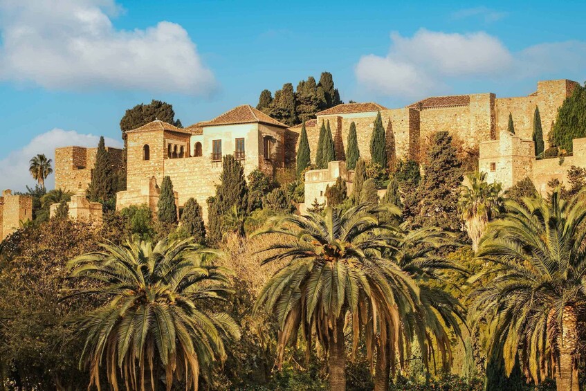 Malaga Walking Tour, Gibralfaro and Alcazaba Visit & Catamaran Cruise