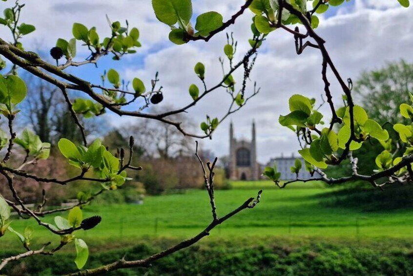 Photography Walking Tour in Cambridge (Camera or Smartphones!)