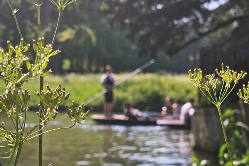 Photography Walking Tour in Cambridge (Camera or Smartphones!)