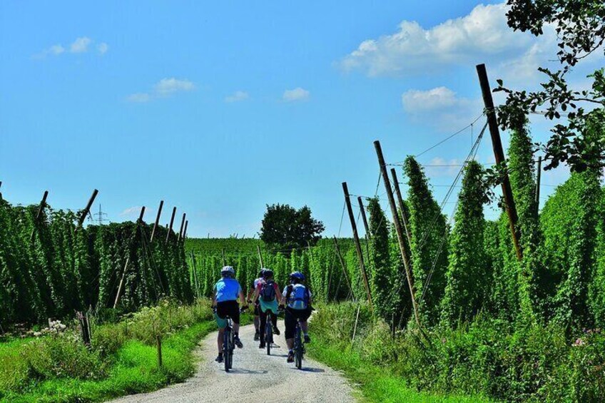 The classic bicycle tour in the Hallertau